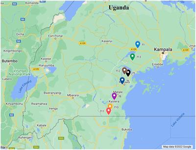 Spatio-temporal changes in endosymbiont diversity and composition in the African cassava whitefly, Bemisia tabaci SSA1